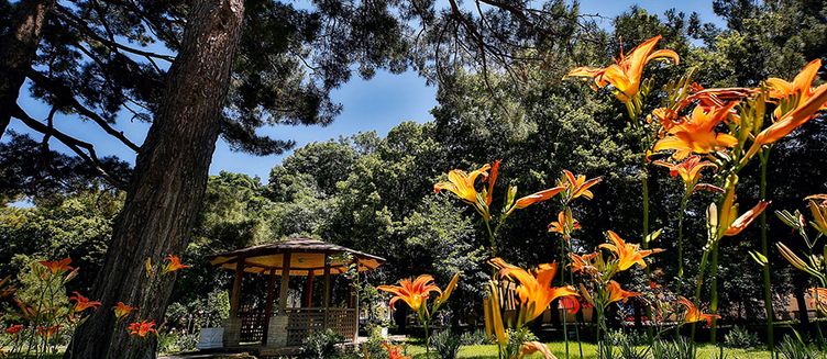 Фото отеля Жемчужина моря