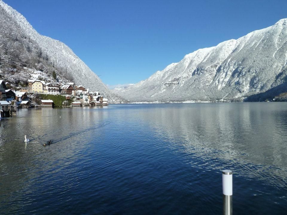 Seehotel Gruner Baum фото 9