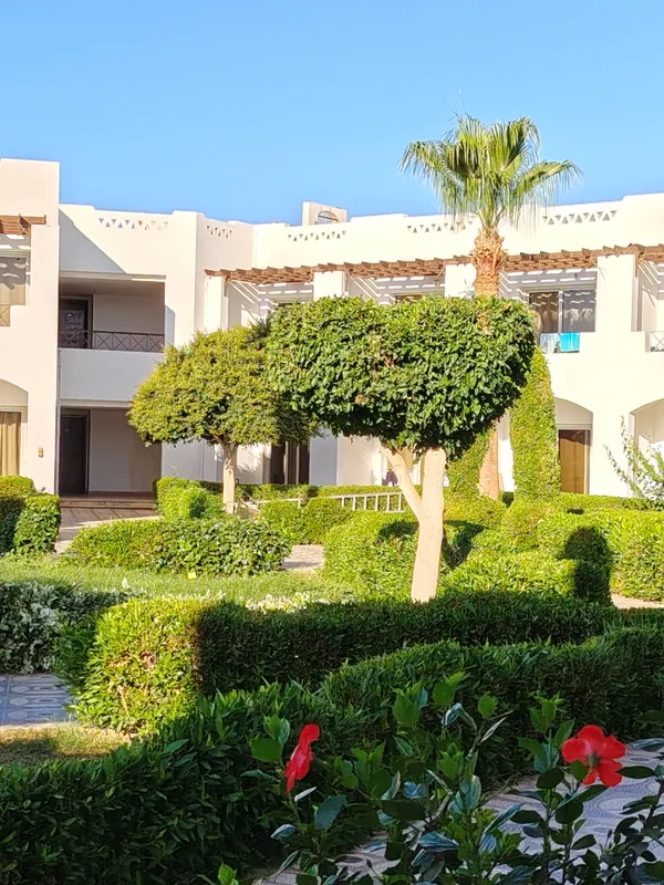 Uni Sharm Hotel фото 19