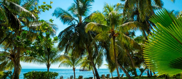 Фото отеля Indian Ocean Lodge
