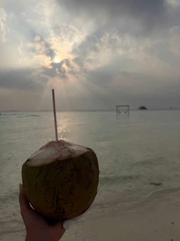 Guest House «Manta Dhangethi Guest House» фото 13