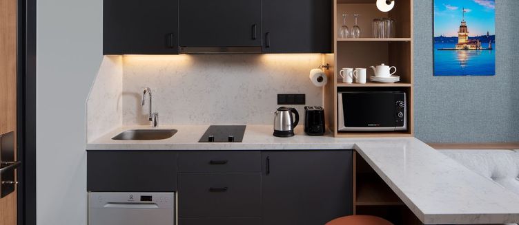 Фото отеля Residence Inn by Marriott Istanbul Atasehir