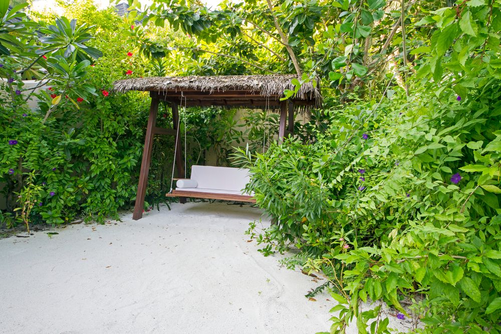 Summer Island Maldives фото 154