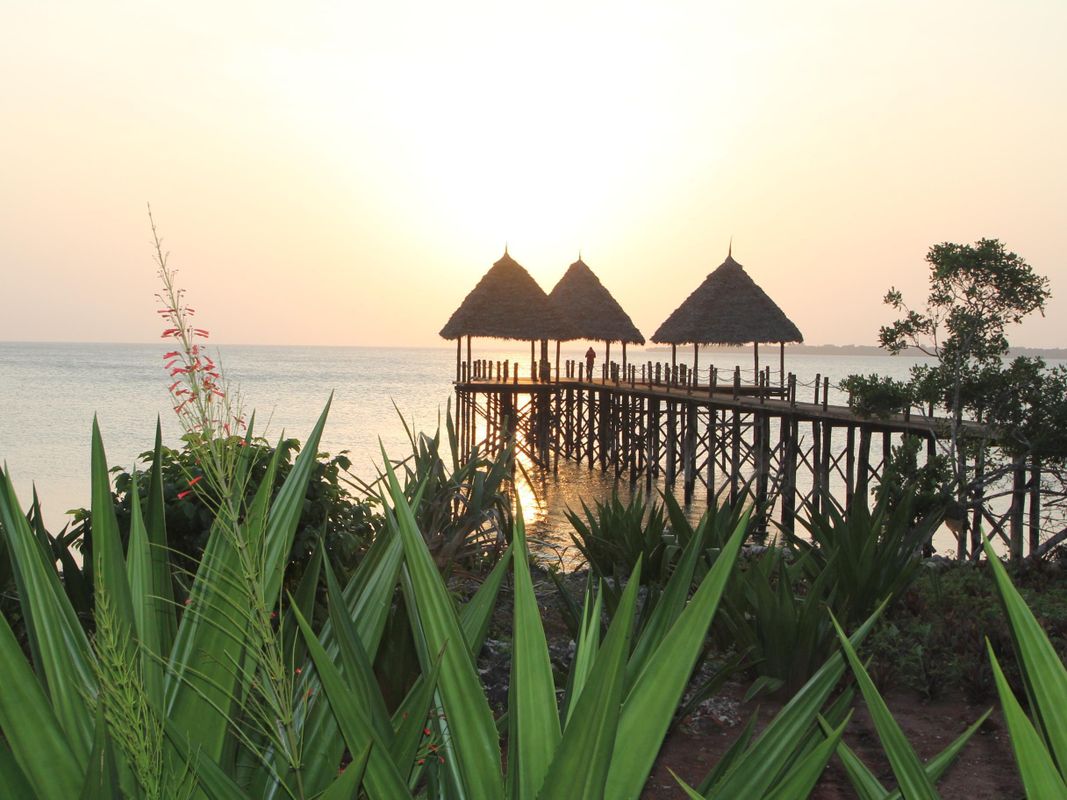 Fruit & Spice Wellness Resort фото 31