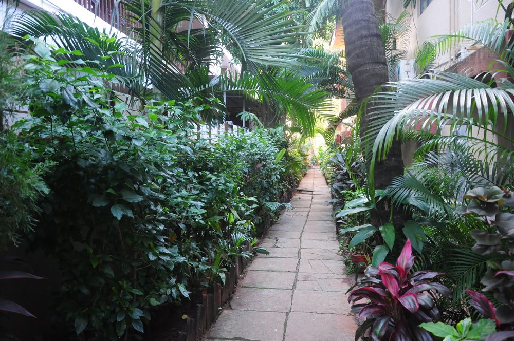 Sunstay Beach Resort фото 8