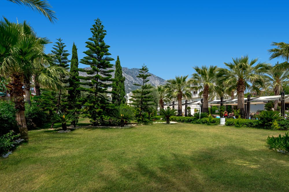 Onkel Hotels Beldibi Resort фото 90