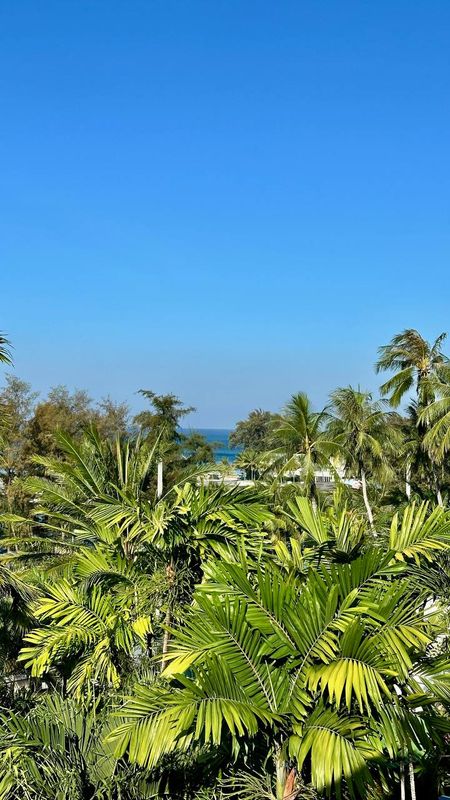 Best Western Phuket Ocean Resort фото 31