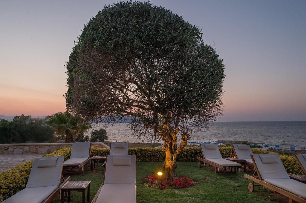Cretan Dream Royal фото 76
