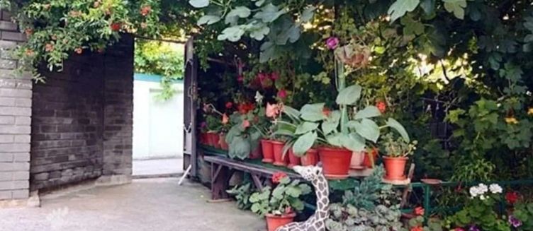 Фото отеля Гостевой дом «Марина»