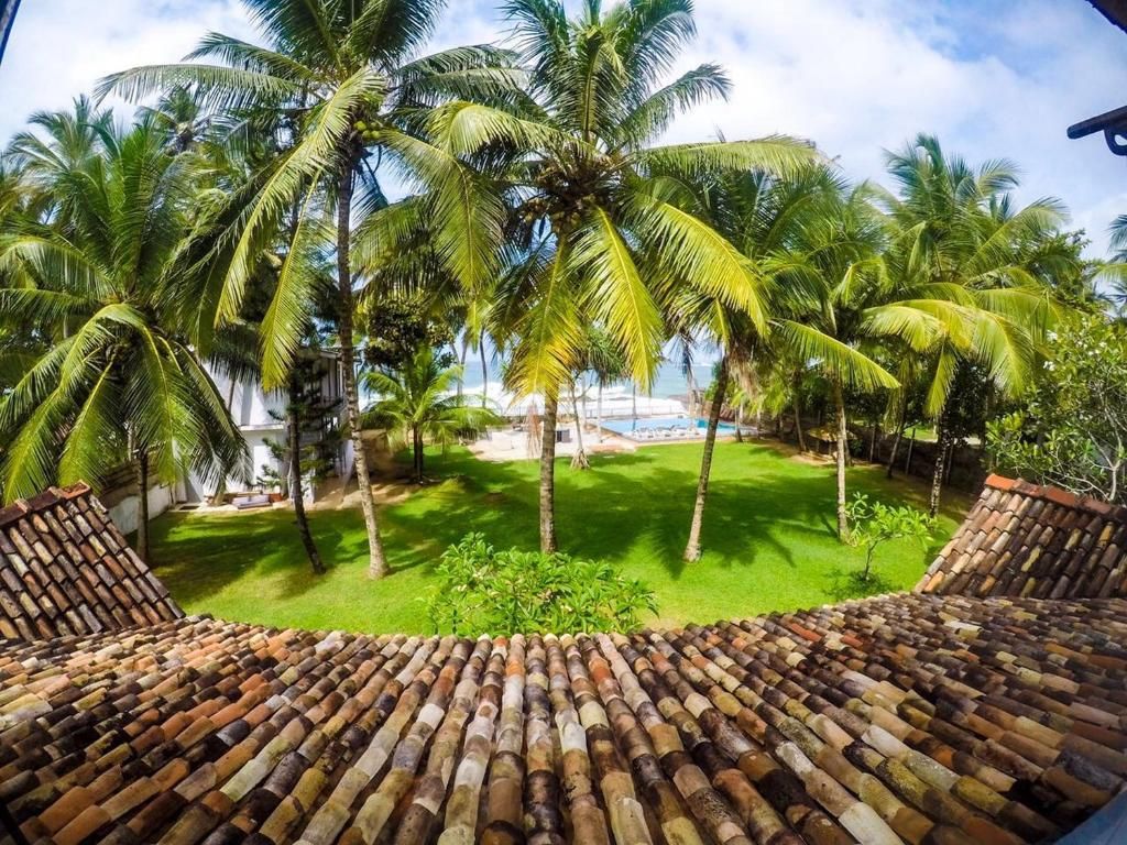 Amor Beach Unawatuna фото 38