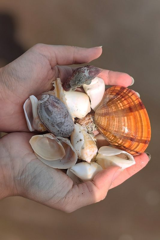 Doubletree By Hilton Fujairah City фото 28