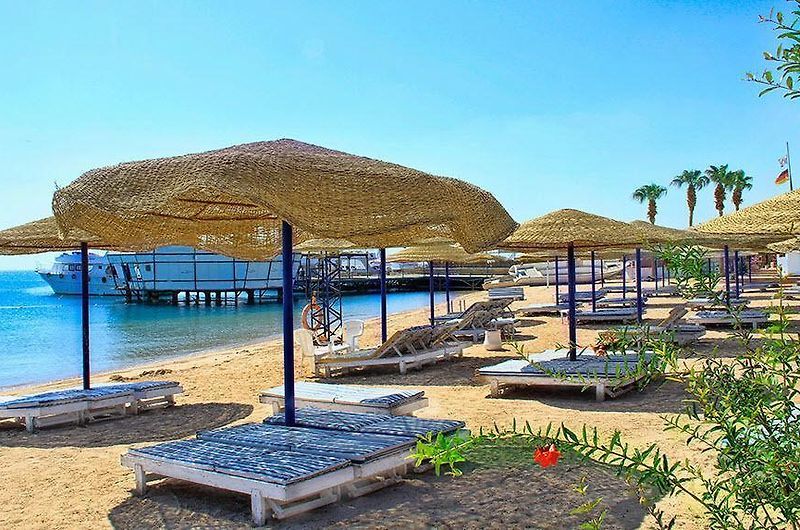 Al Mashrabiya Beach Resort фото 6
