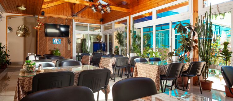 Фото отеля Дельфин