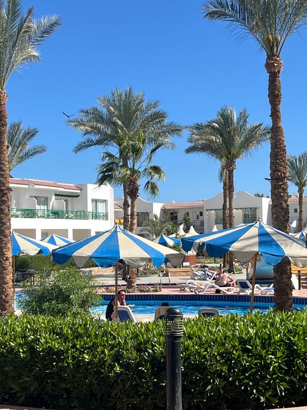 Panorama Naama Heights Resort фото 40