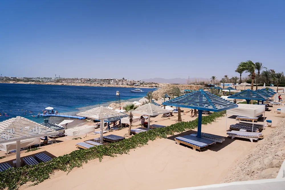 Grand Oasis Resort фото 30