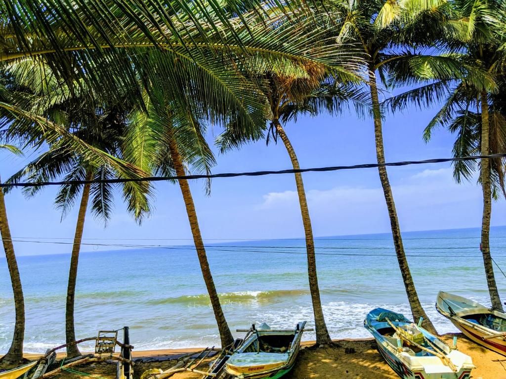 Amssler Beach Stay фото 29