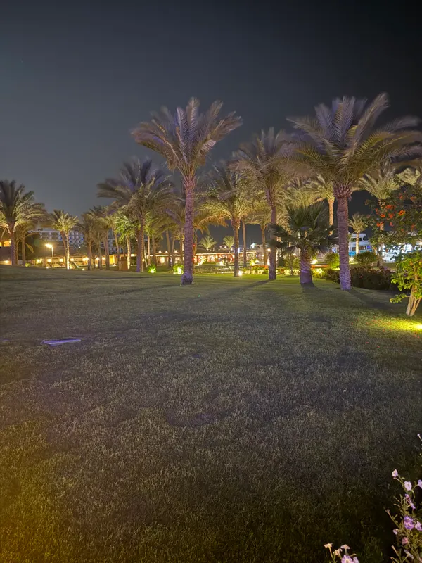 Hilton Hurghada Plaza фото 53