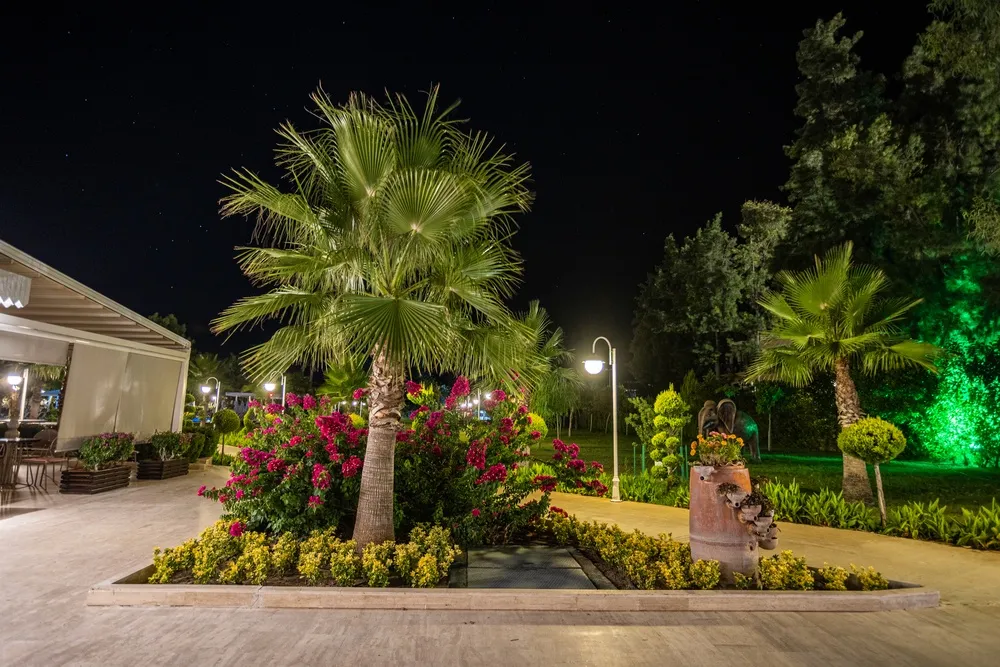 Club Hotel Phaselis Rose фото 238
