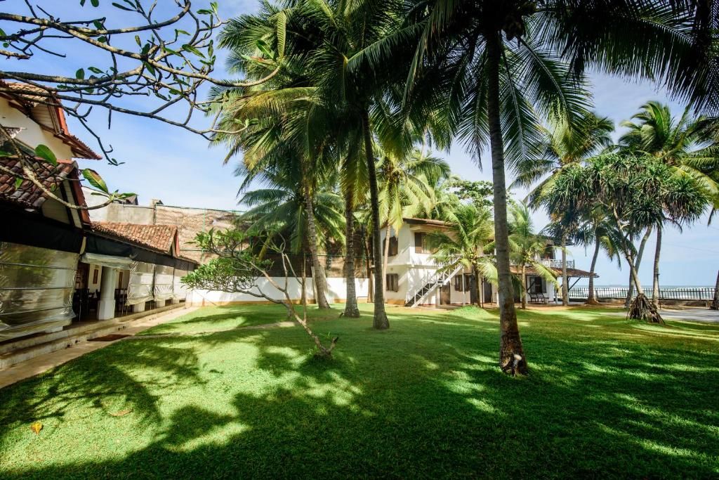 Amor Beach Unawatuna фото 37