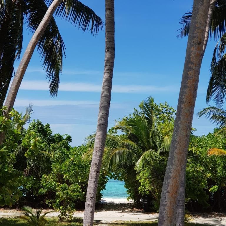 Vaali Island Escapes & Dive фото 32
