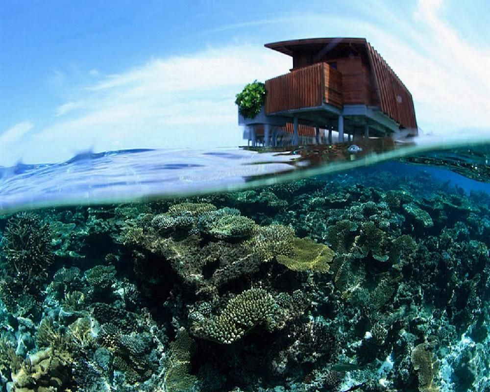 Park Hyatt Maldives Hadahaa фото 39
