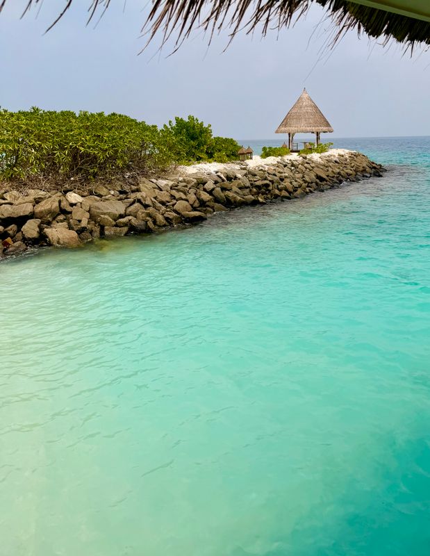 Taj Coral Reef Resort & Spa фото 44
