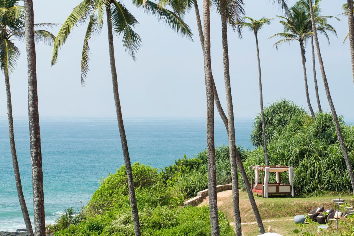 Cape Weligama фото 17
