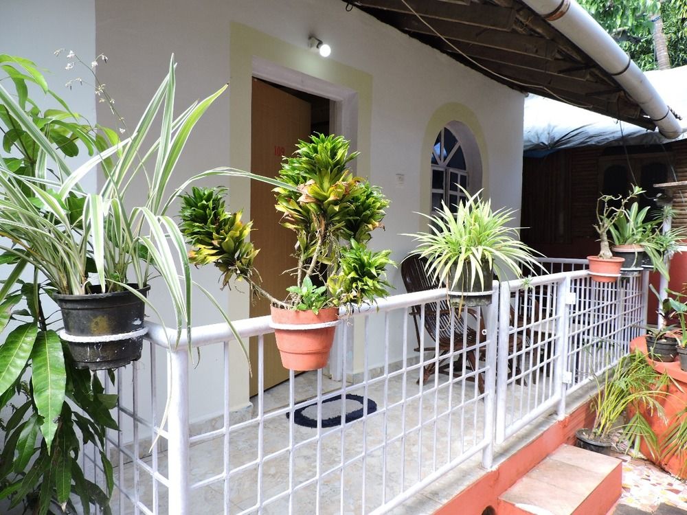 Guest House «Zappia Cove Guesthouse» фото 45