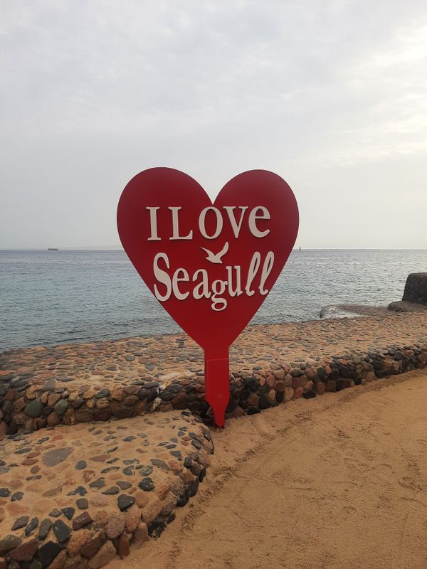 Seagull Beach Resort фото 114