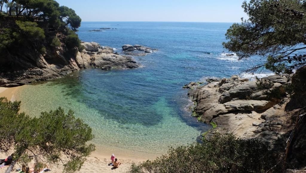 htop Platja Park фото 30