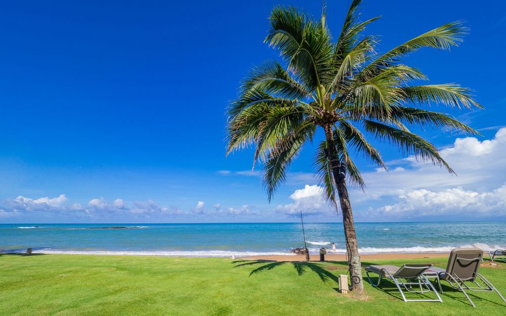 The Sands Khao Lak by Katathani фото 44