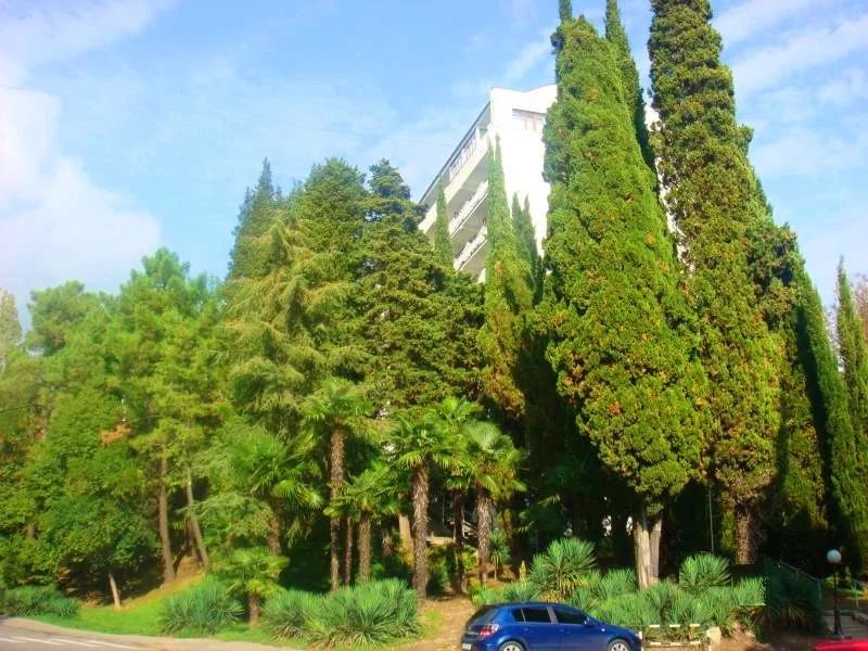 Светлана Голд фото 28