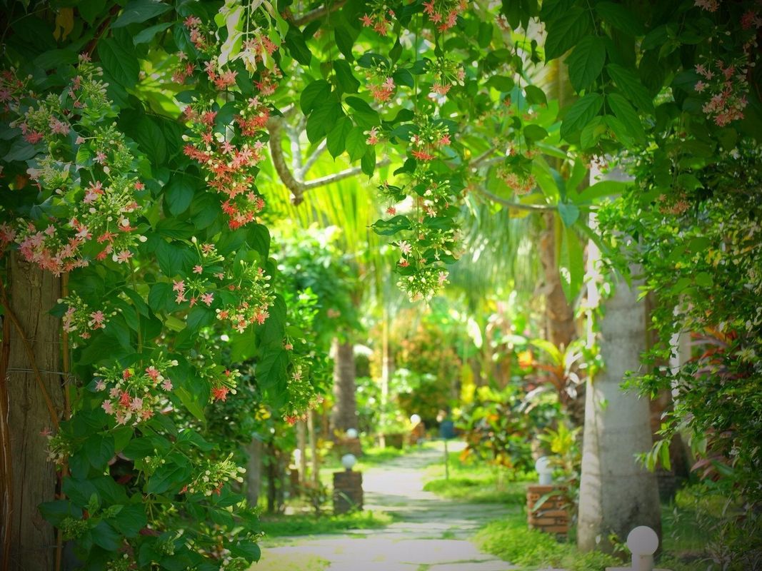 Thanh Kieu Beach Resort фото 33