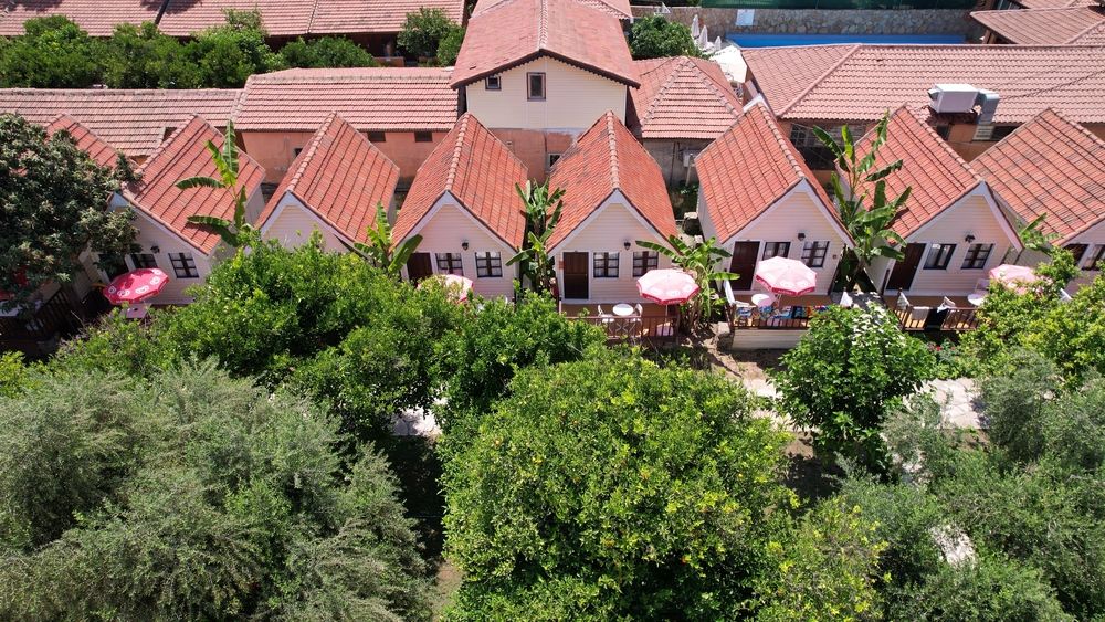 Clover Magic Nova Beach Hotel фото 36