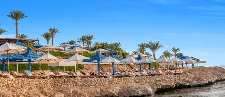 Фото отеля Grand Oasis Resort