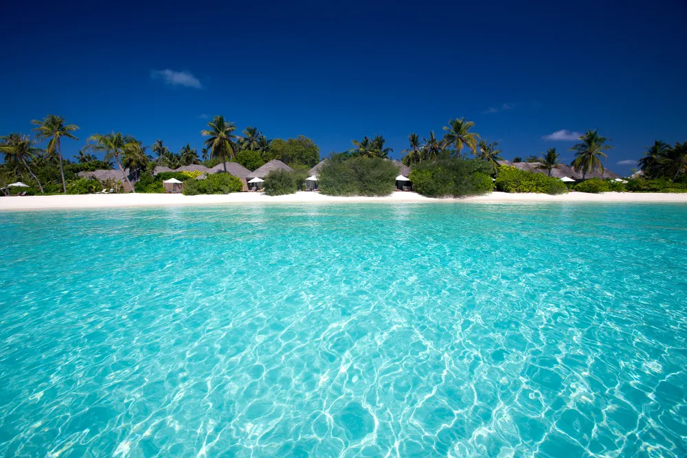 Niva Velassaru Maldives фото 31