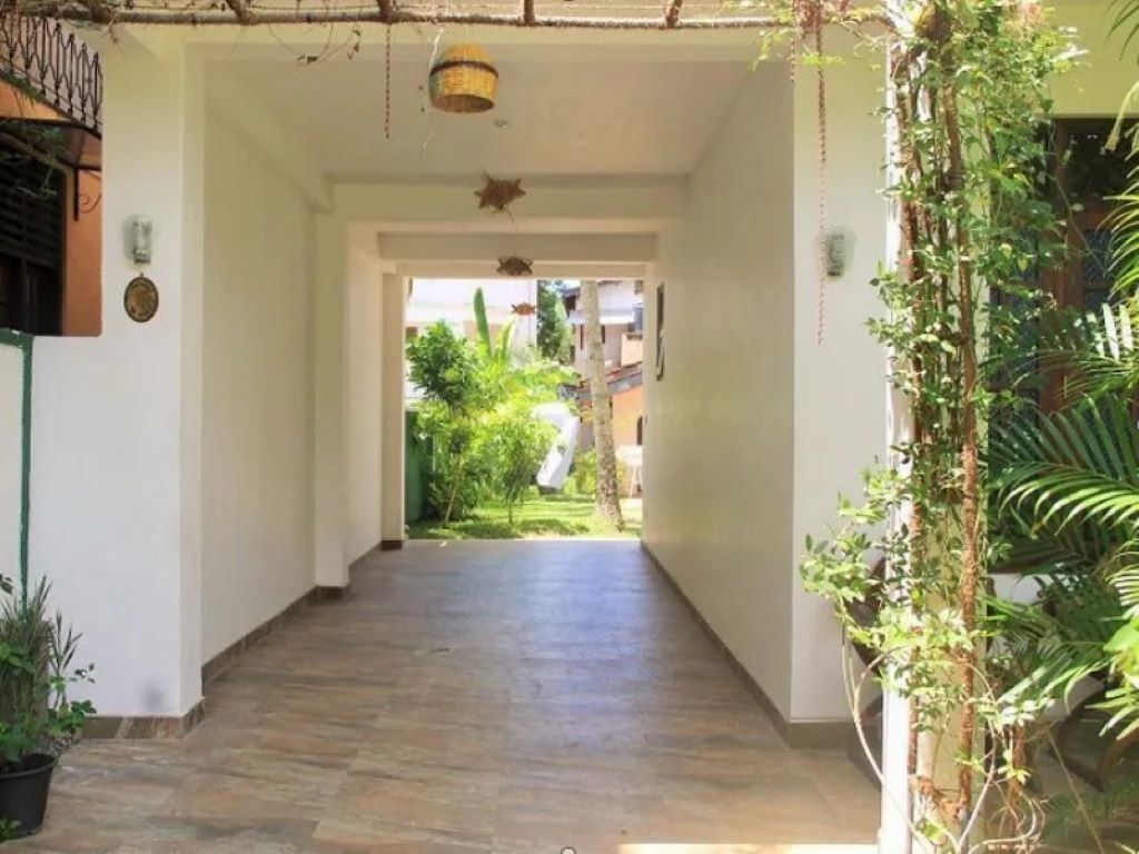 Guest House ««Tropicana» Guest House» фото 7