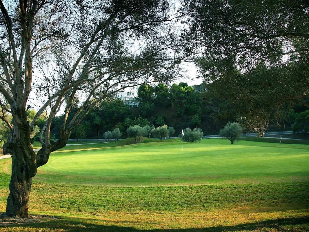 The Westin La Quinta Golf Resort and Spa фото 18