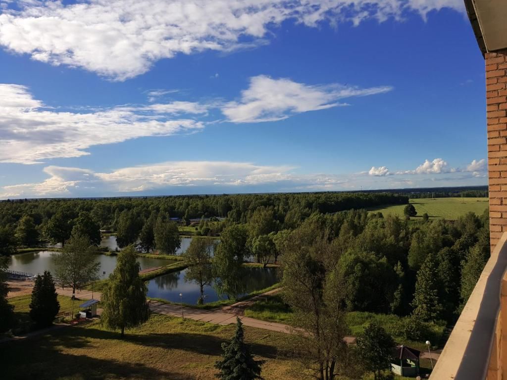 Парк-отель «Sofrino Park Hotel» фото 27