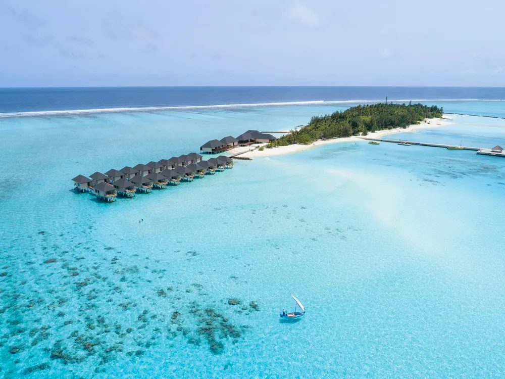 Summer Island Maldives фото 38