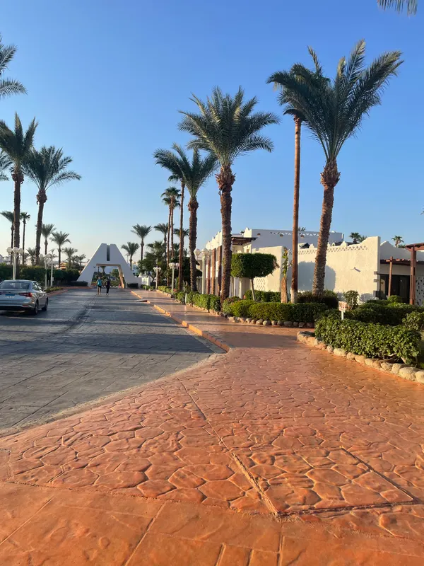 Jaz Sharm Dreams фото 60