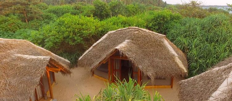 Фото отеля Jungle Beach Camp
