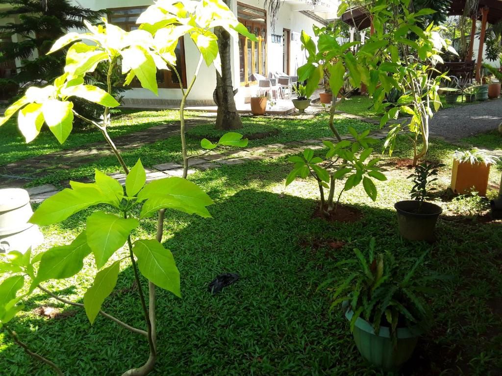 Karl Holiday Bungalow фото 49
