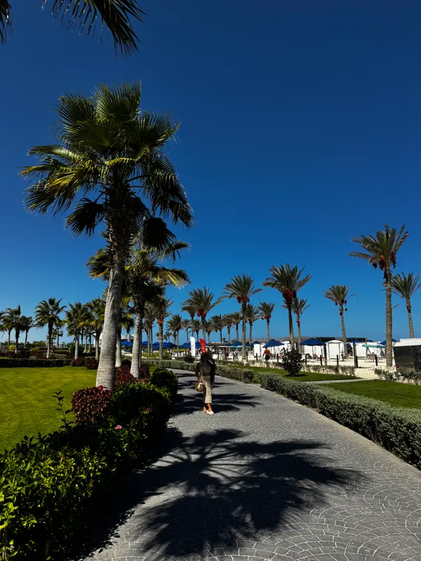 Rixos Premium Alamein фото 56