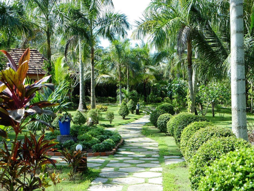 Thanh Kieu Beach Resort фото 3