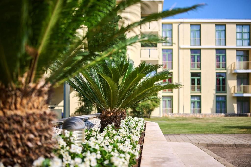 Hotel Sol Aurora фото 54