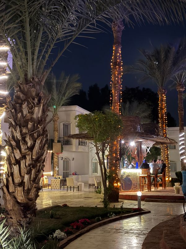 Viva Sharm Hotel фото 63
