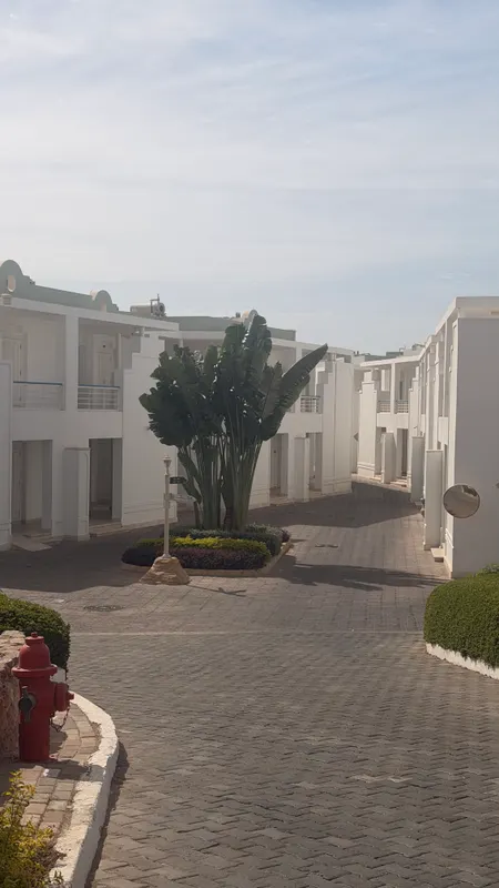 Renaissance Sharm El Sheikh Golden View Beach Resort фото 80