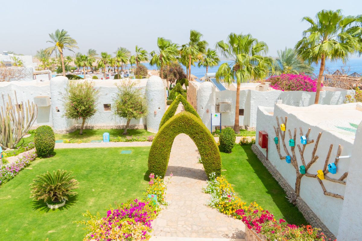 Sharm Club Beach Resort фото 176