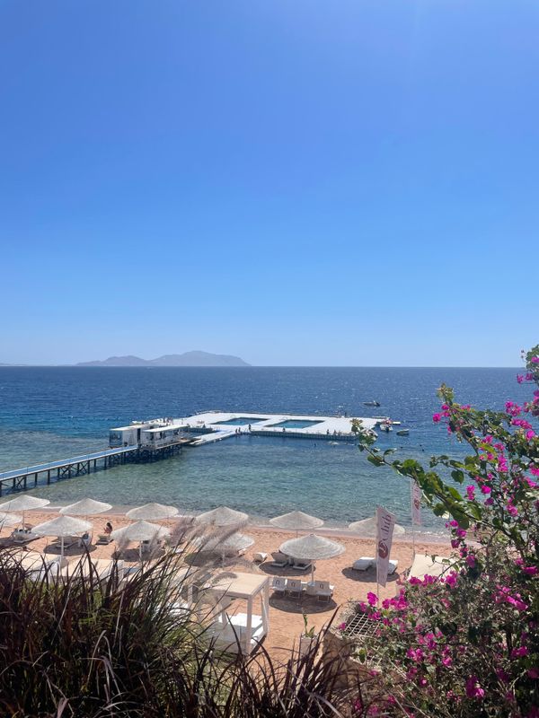 Domina Coral Bay Aquamarine Pool фото 95